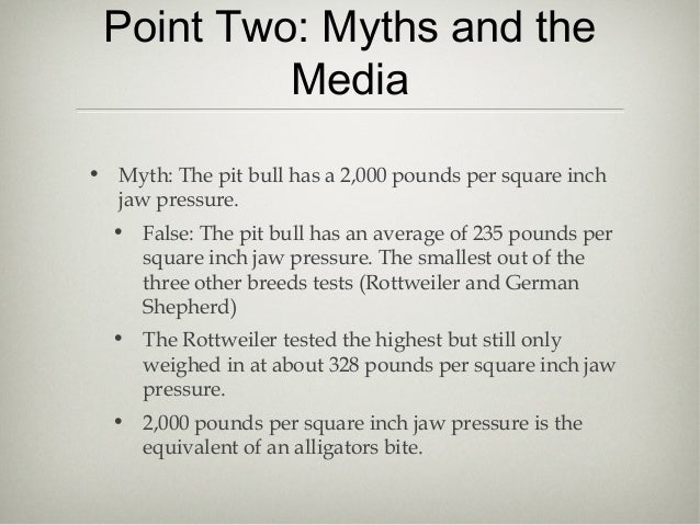 myths about pitbulls myths about pitbulls